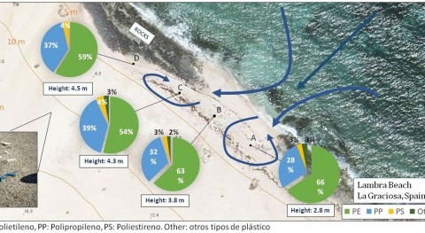 microplásticos contaminan playas espacio protegido canario