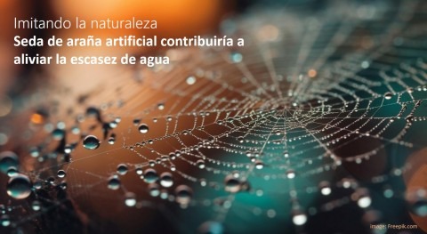 seda araña artificial contribuiría aliviar escasez agua