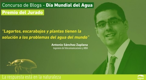 Antonio Sánchez Zaplana, Premio Jurado Concurso Blogs Día Mundial Agua