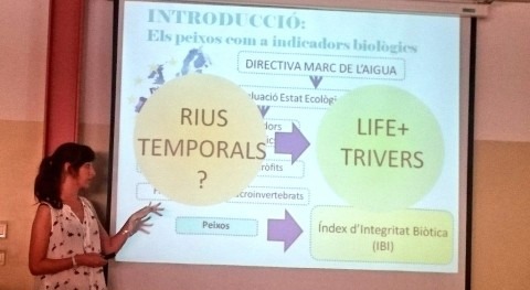 Tres estudiantes grado presentan proyectos investigación marco TRivers