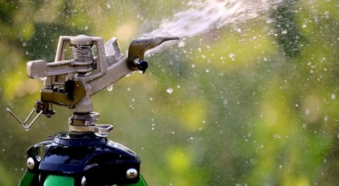 importancia adecuada programación riegos mejorar productividad agua