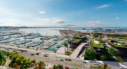 Flovac proporcionará tuberías y pozos vacío Club Mar Palma Mallorca