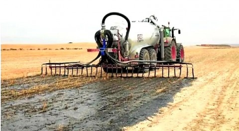 Purines cerdo. ¿Se pueden aprovechar riego agrícola?