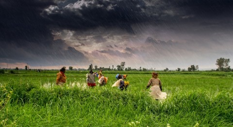 India: cara humana crisis climática