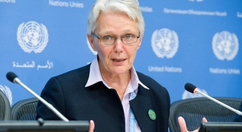 Margareta Wahlström (ONU).