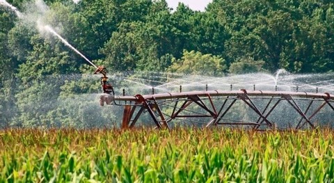 Más vidas que gato: cómo mejorar reutilización agua usada