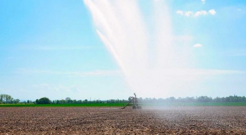 subestimación superficie cultivos regadío supone riesgo escasez agua