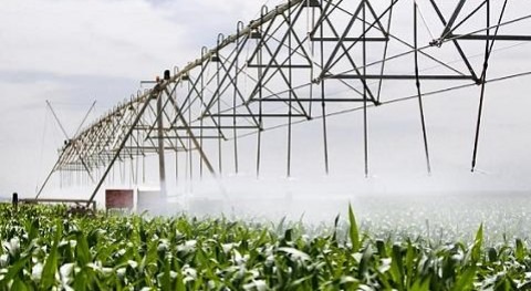 nuevo modelo permite agricultores ajustar mejor gastos materia riego comprometer viabilidad cultivos