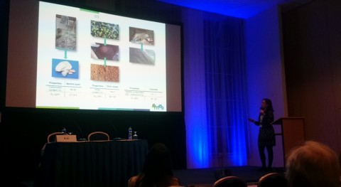 proyecto REMEB Congreso Internacional Permea, referente investigación membranas