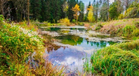 COP26 se quedó "horriblemente corta", asegura experto agua