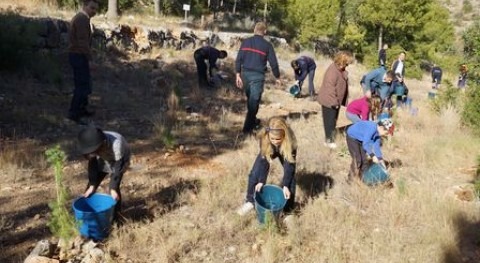 Castellón realizará riego emergencia entorno Magdalena