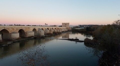 9 licitadoras optan reparación tramo origen Canal Guadalquivir 28 M€
