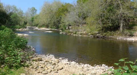 MITECO licita obras recuperación hidromorfológica río Saja, Cantabria