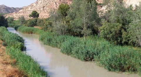 recursos hídricos cuenca Segura estarán lupa investigación
