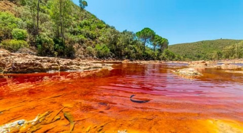 Ríos Tinto y Odiel: principal aporte contaminantes tóxicos origen minero mundo