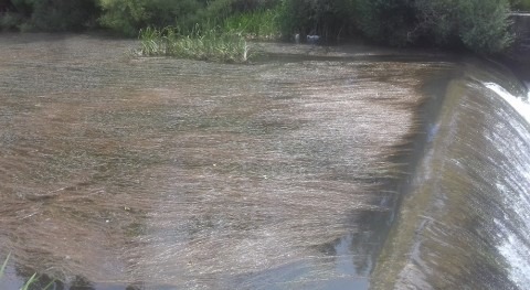 Ecologistas 3 - Medioambiente 0