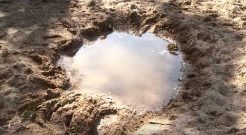 " río que se robaron", documental indígenas colombianos que mueren sed