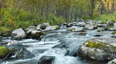 liquidez agua
