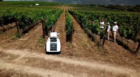 robot terrestre monitoriza parámetros optimizar riego viñedos