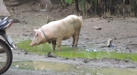 Retos saneamiento mundial cara Agenda 2030