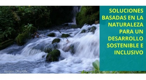 Soluciones basadas Naturaleza aplicadas gestión agua contextos desarrollo