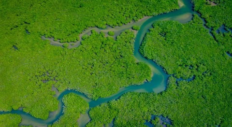 Senegal prepara proyectos inversión pública medio y largo plazo, agua y saneamiento