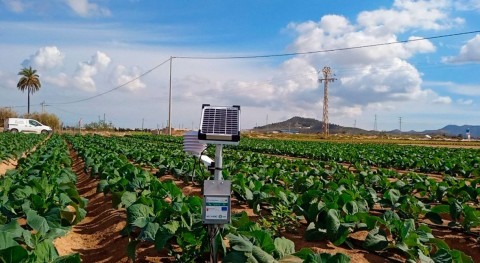 WIDHOC alcanza 500 sondas instaladas proyecto sensorización Campo Cartagena