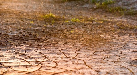 Desertificación y sequía, otra cara agua