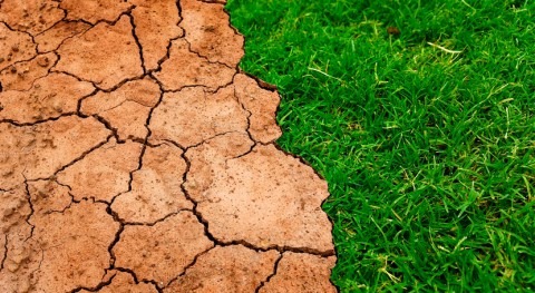 Parlament Cataluña aprueba 33 propuestas afrontar emergencia sequía