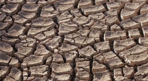 Se declara emergencia agropecuaria Salta y Formosa sequía y heladas