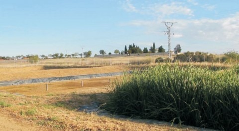 Las pequeñas poblaciones no pueden emplear economías de escala basadas en las grandes EDARsv