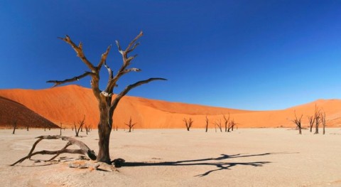 Imagen de dreamatico.com.