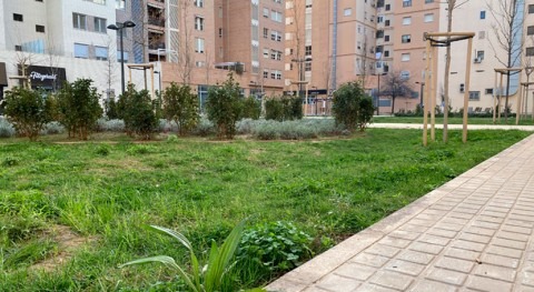 HOFIDRAIN impulsa SUDS como medida adaptación al cambio climático regeneración urbana