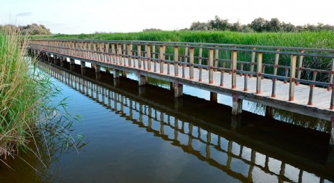 agua nadie da duros cuatro pesetas