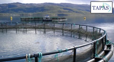 Evaluación riesgo ecotoxicológico productos químicos usados acuicultura