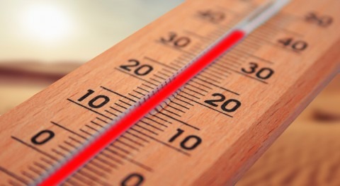 mundo alcanza nuevos récords temperatura durante ola calor