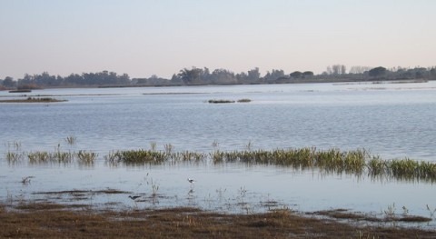 Crímenes Agua: Tratado Aguas Residuales