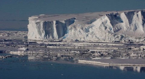 Caída oxígeno profundidad mar antártico deshielo
