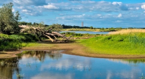 Entender sequía interconectada, esencial resiliencia ecosistemas