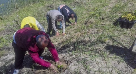 programas voluntariado ambiental como instrumento vehicular integración