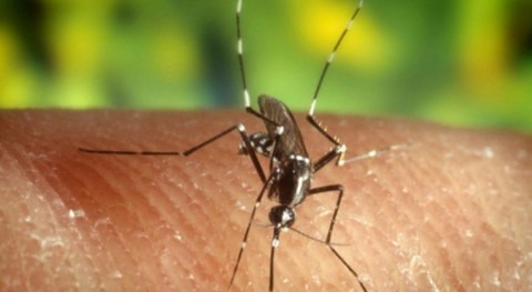 Prevención Perú virus Zika: Especial cuidado almacenamiento agua