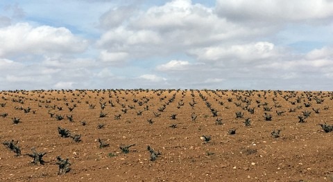 Científicos alertan riesgos salud minería tierras raras