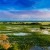Pantanal: desafío gestionar recursos hídricos transfronterizos y preservar medio ambiente