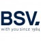 BSV Electronic
