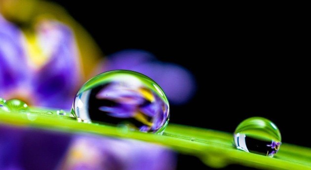 42 hidromitos que debes desterrar agua