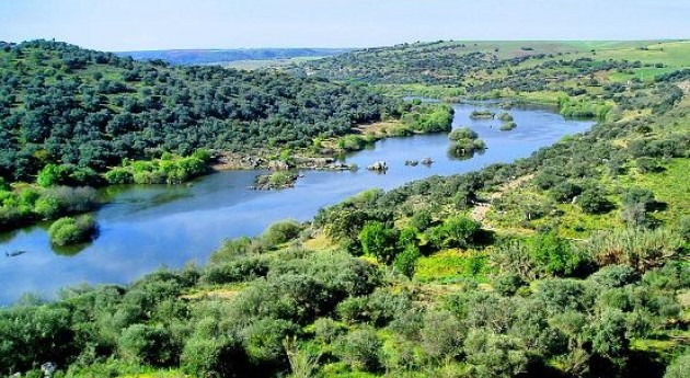 1,4 millones financiar daños causados inundaciones abril infraestructuras agrarias