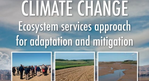 Servicios ecosistémicos adaptación y mitigación cambio climático