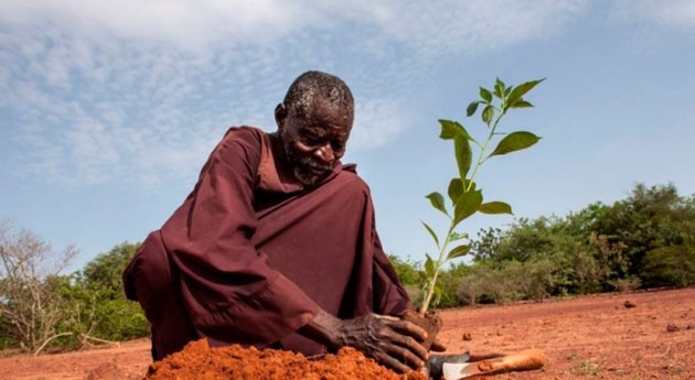 Banco Mundial planea invertir más 5.000 millones dólares zonas áridas África