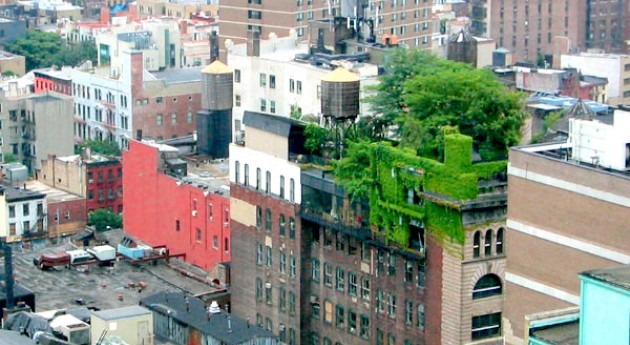 Ciudades biofílicas como respuesta al cambio climático