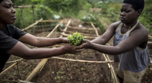 Transformar agricultura y sistemas alimentarios cuidar planeta